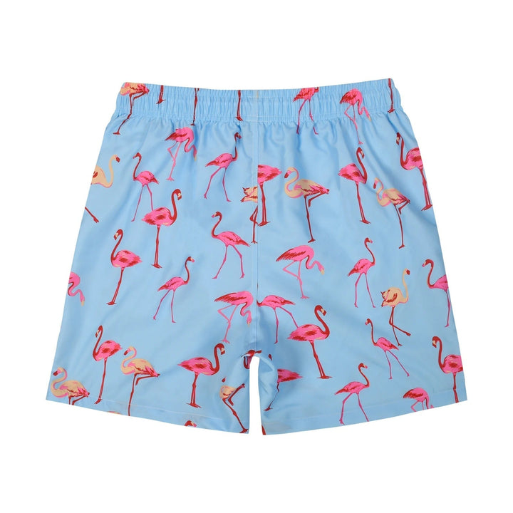 Frank - Lichtblauwe Flamingo-Print Zomer Zwembroek